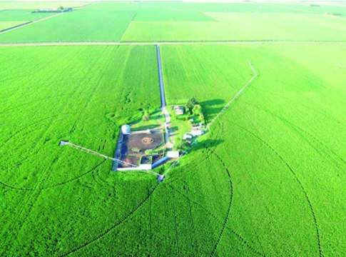 Il pivot “intelligente”