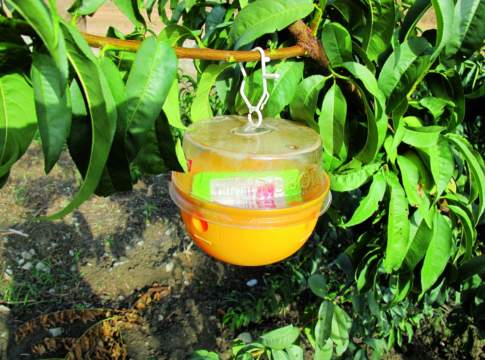 Usi sostenibili. Avanti, ma senza fretta