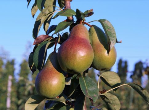 università di bologna