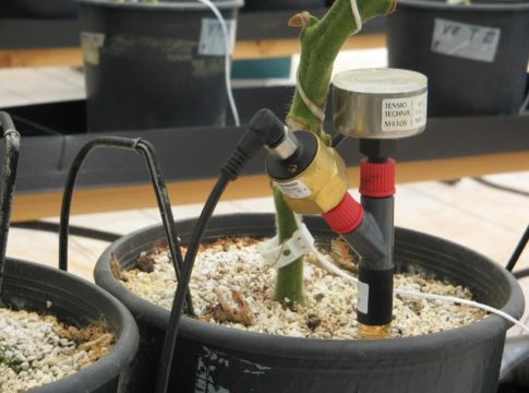 Ottimizzare con i sensori