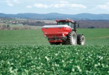 urea