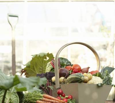 Aiuti cancellati sotto i 250 €/anno