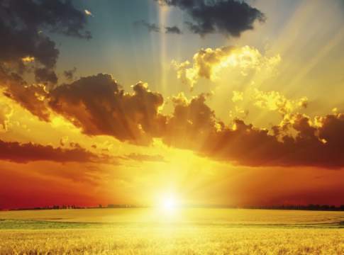 L’uso dei fertilizzanti rimane conveniente