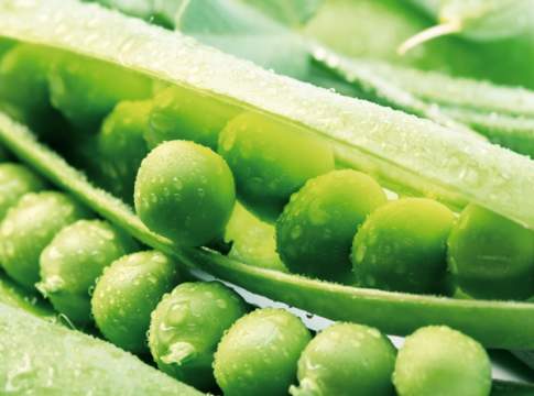 2016, per la Fao è l’anno dei legumi legumi