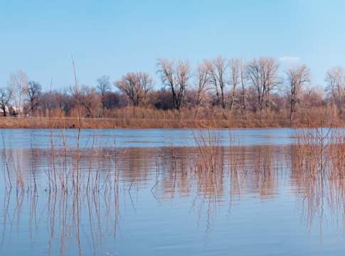 “Campo libero” alle nutrie