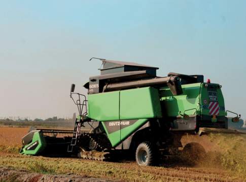 Riso amaro, le produzioni sono basse