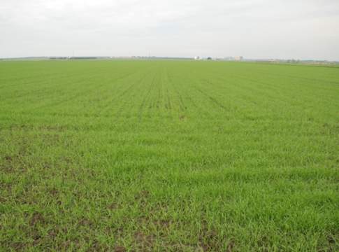 «Per concimare bene bisogna guardare il cielo»