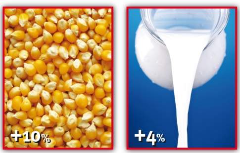 Anno “record” per cereali e latte