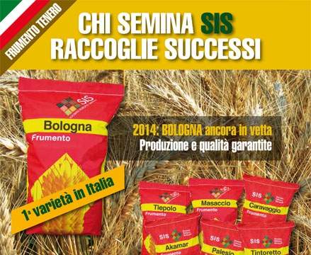 SIS, il frumento tenero a “Bologna”