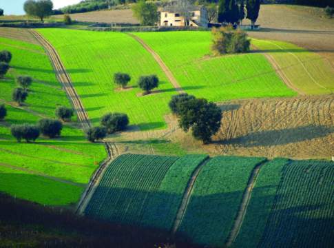 Collegato ambientale, un pacchetto tutto green efa collegato ambientale
