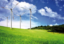 Agroalimentare, l’energia diventa una leva per la competitività