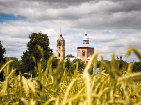 Tenero, produzioni e consumi su