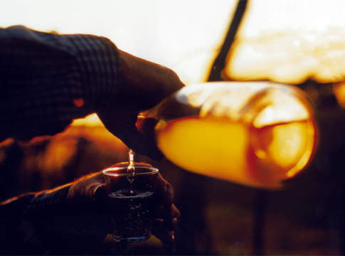 OCM vino, bruciato (quasi) tutto il budget