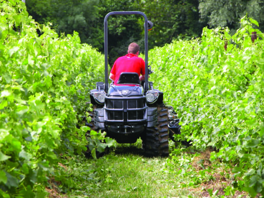 requisiti minimi nella pac