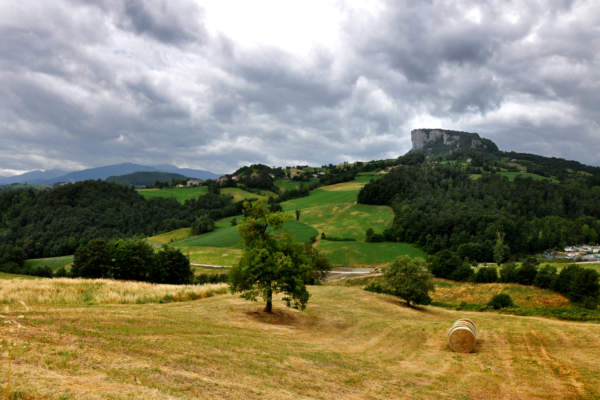 affitto e sostenibilità