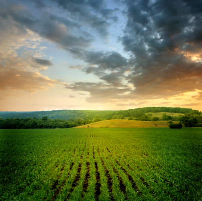 articolo 68 paesaggio