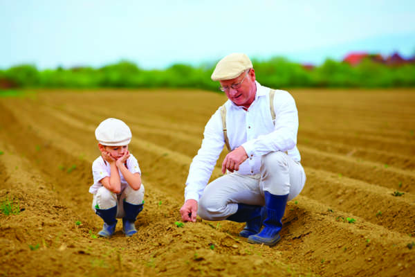 versamenti volontari