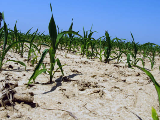 cambiamento climatico