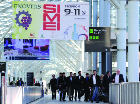 simei-enovitis