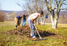Giovani e agricoltura sociale, dieci posti con la Croce Rossa agricoltura sociale