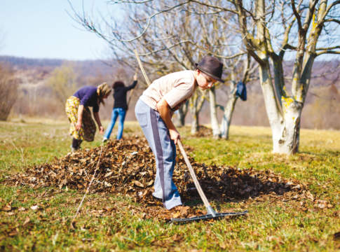 Riattivata la Banca dati giovani genitori agricoltura sociale