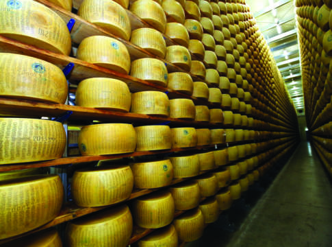 Caselli: «Il sistema dei controlli funziona» controlli