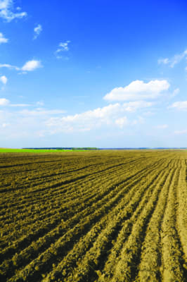 titoli in eccesso requisiti