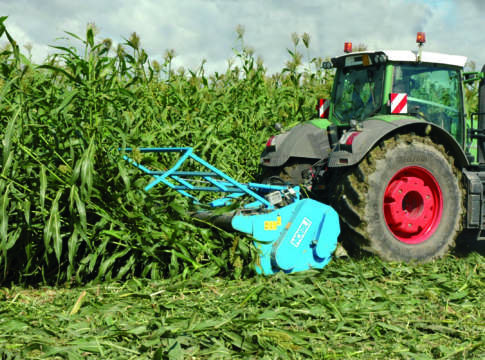 Sorgo da biomassa, trinciatura e raccolta in un solo passaggio biomassa