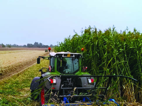 Biocarburanti, il Copa Cogeca promuove le biomasse agricole e forestali biomasse agricole
