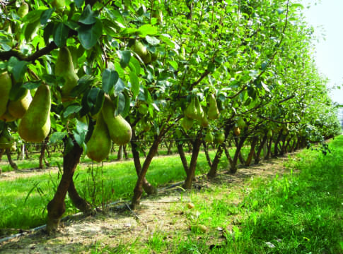 impianti climatizzanti