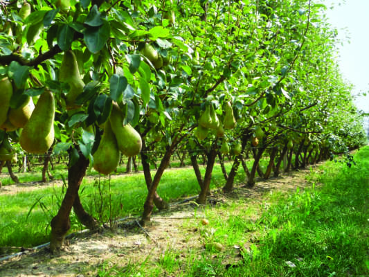 impianti climatizzanti