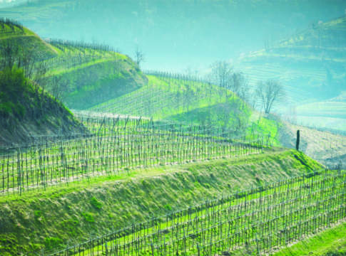 psr veneto innovazione