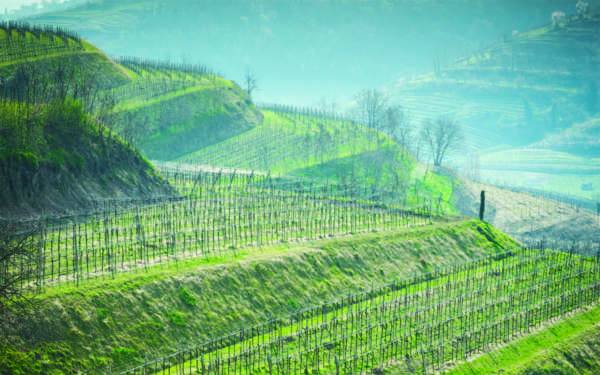 psr veneto innovazione