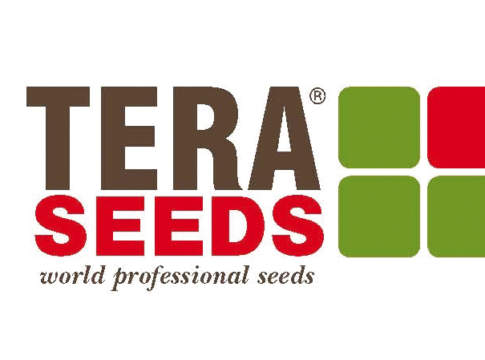 tera seeds