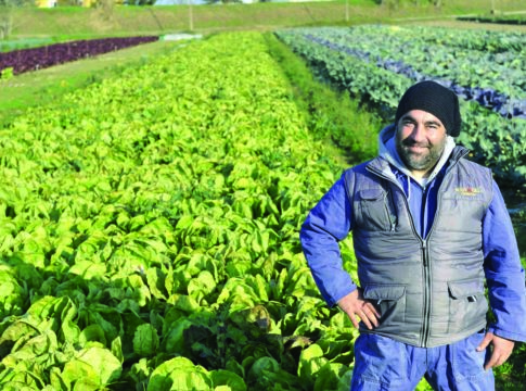 Ortive di pieno campo, parola d’ordine diversificare reddito