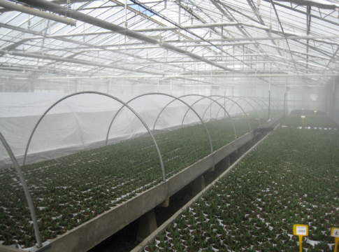 Serricoltura, un impianto centralizzato impianti