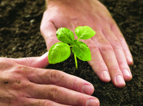 Regolamento sui concimi, il 2016 sarà l’anno decisivo concimi