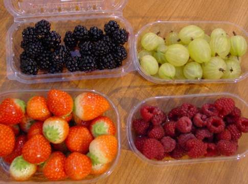 Frutta e verdura nei supermercati del futuro frutta