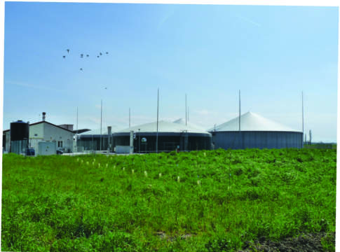 Concimazioni organiche, è il momento ideale concimazioni