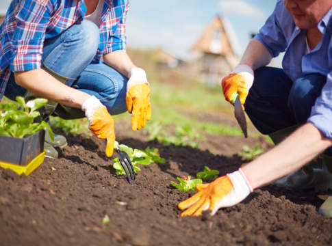 Agricoltore attivo, così si dimostra il requisito