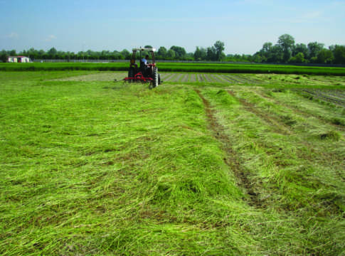 Fertilizzazione, un bilancio positivo per la deroga alla direttiva nitrati nitrati