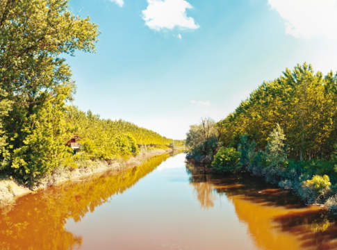 Emilia-Romagna più sostenibile con il nuovo Psr psr