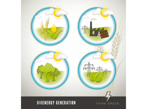 Agricoltura in prima linea contro le emissioni di gas serra Agricoltura