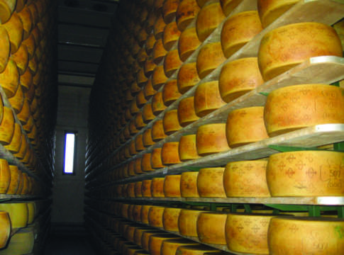 Grana Padano da record con oltre 4,8 milioni di forme grana padano
