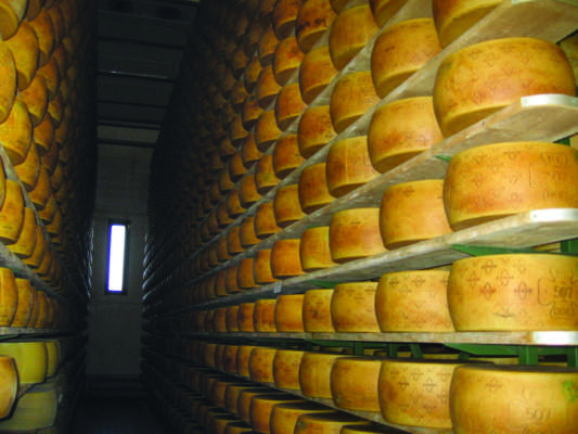 grana padano