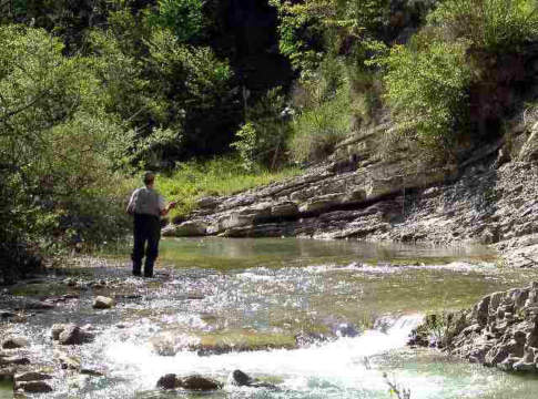 Arrivano 978 milioni per la pesca pesca