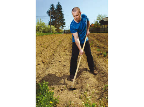 Una task force contro il lavoro fittizio lavoro