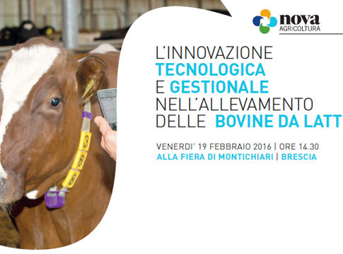 BOVINE DA LATTE, innovazione tecnologica e gestionale nell’allevamento bovine