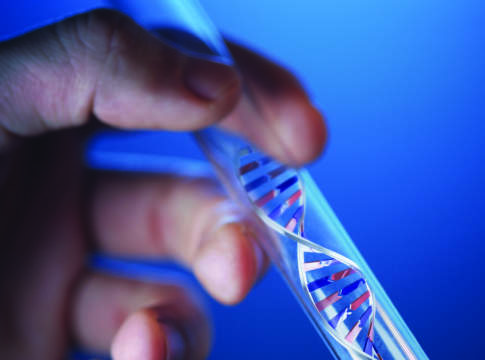 Biotech sostenibili i progetti in gioco biotech