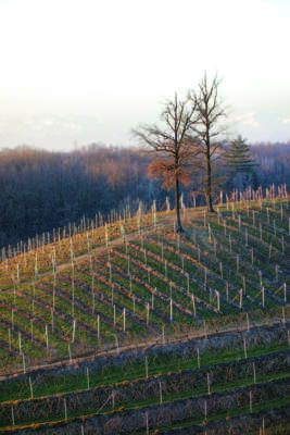 banca terre agricole